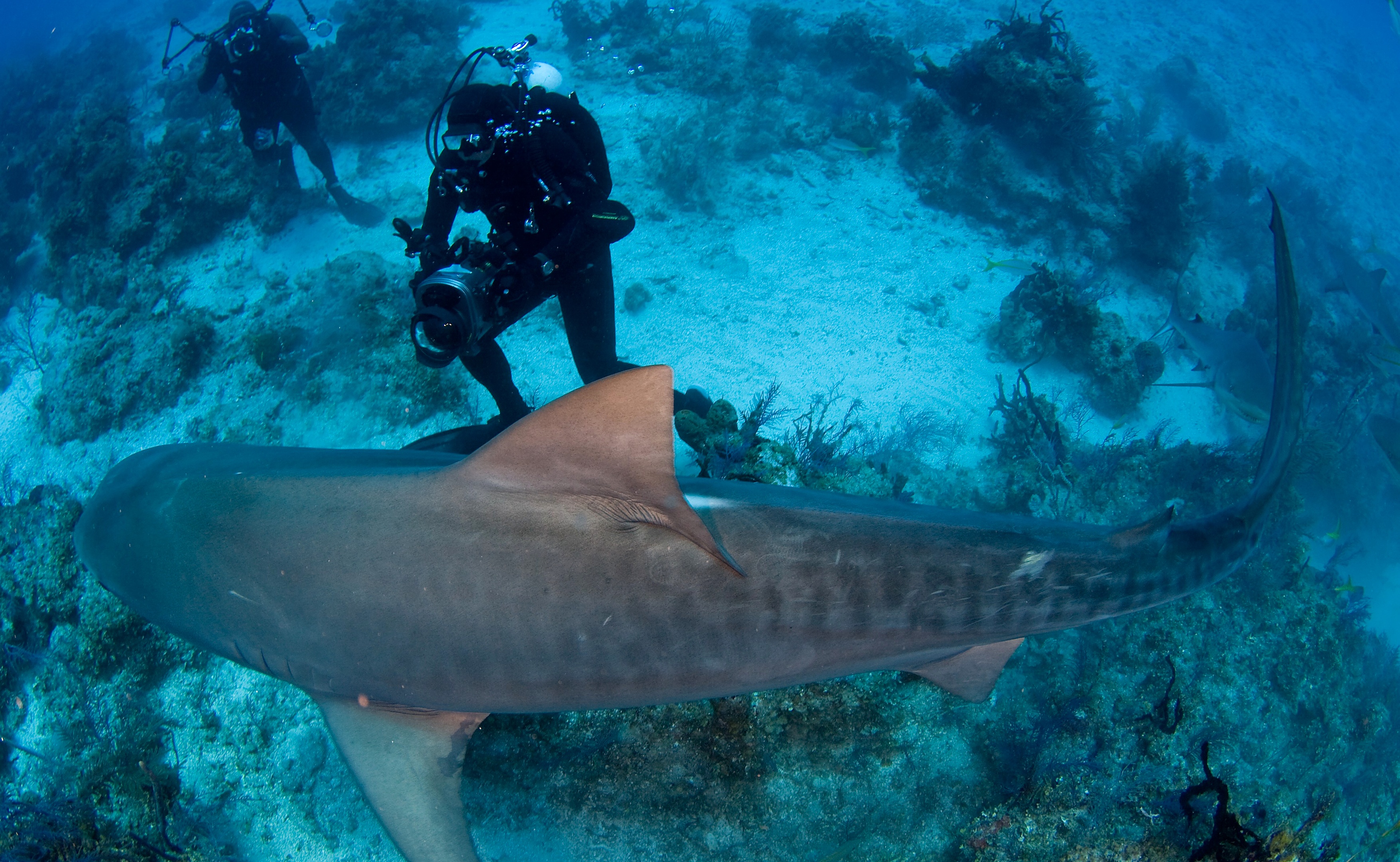 copyright farelmedia.com / fotograf Mikael Hådell